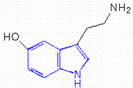 image002 serotonin
