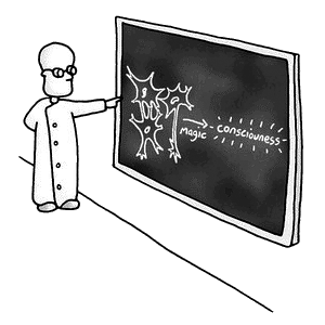 hard-problem-by-jolyon-troscianko